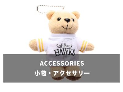 アクセサリー