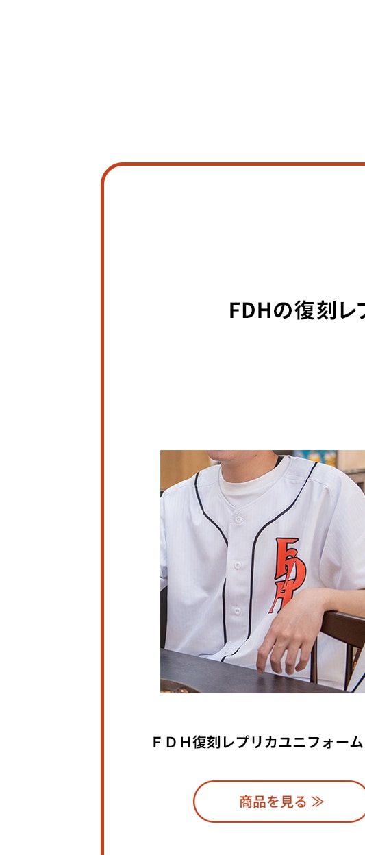 LP FDHユニ
