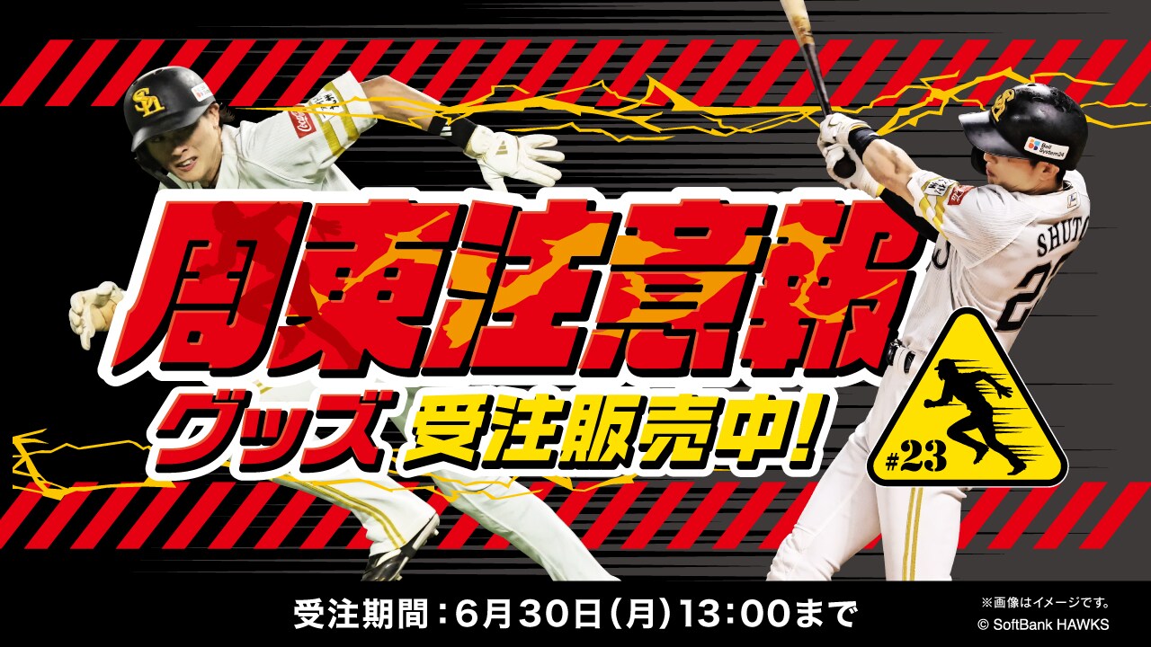 WEB限定アイテム、応援グッズ、ユニフォーム l 優勝グッズ