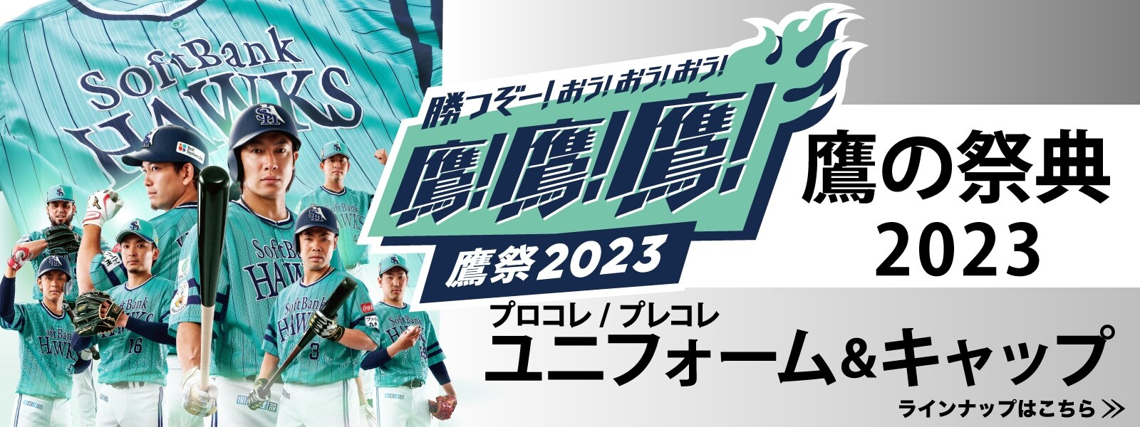 鷹祭プロコレ