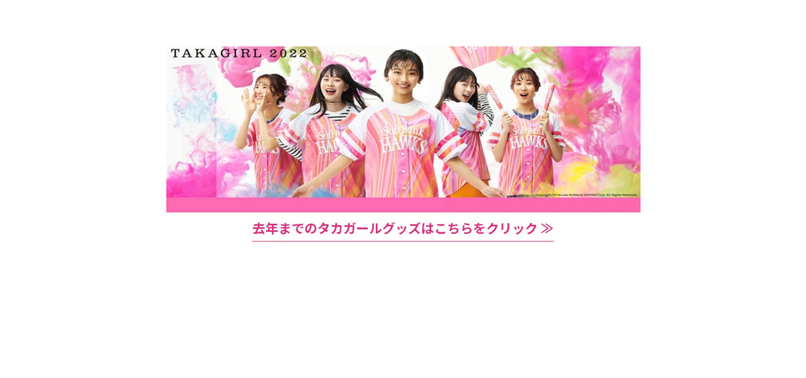 PFLP鷹ガール