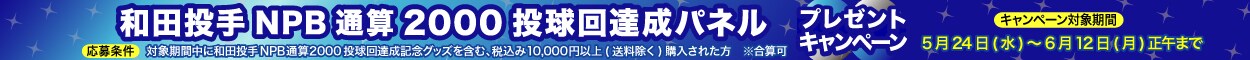 和田キャンペーン