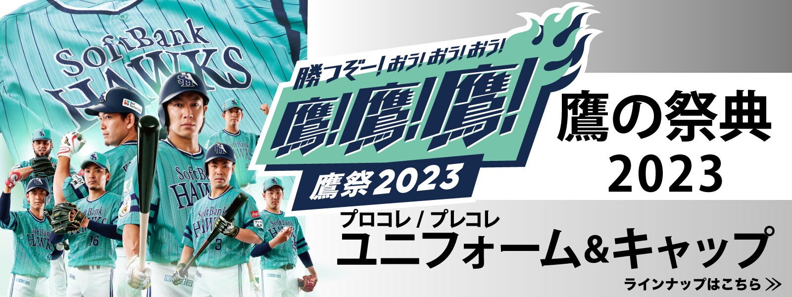 鷹祭プロコレプレコレ